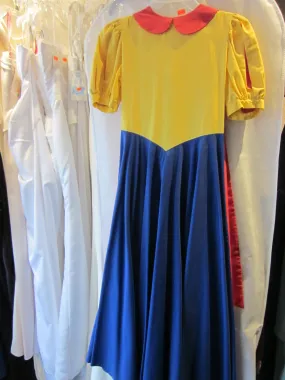 Adult Snow White Costume - Small Size (72 inches)