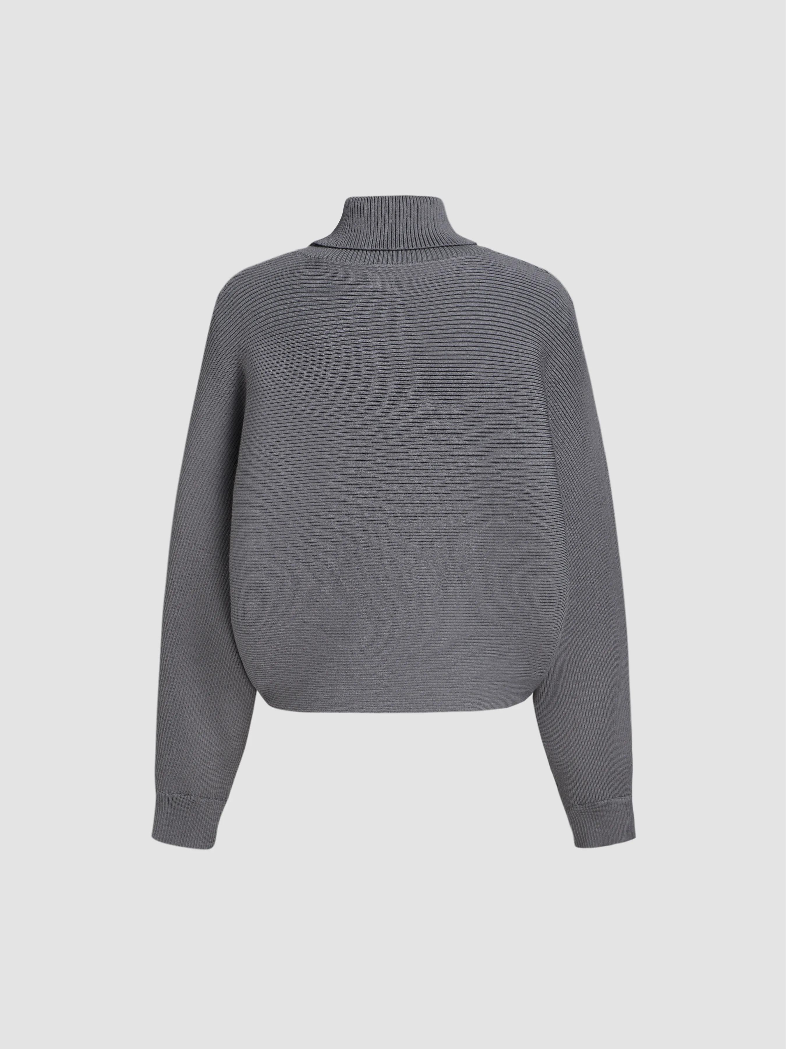 Cider  |Casual Style Nylon Long Sleeves Plain High-Neck Oversized