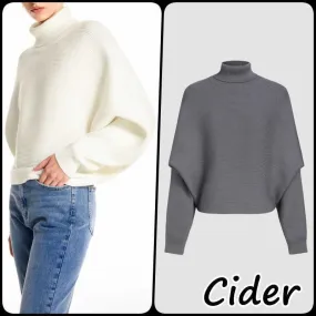 Cider  |Casual Style Nylon Long Sleeves Plain High-Neck Oversized