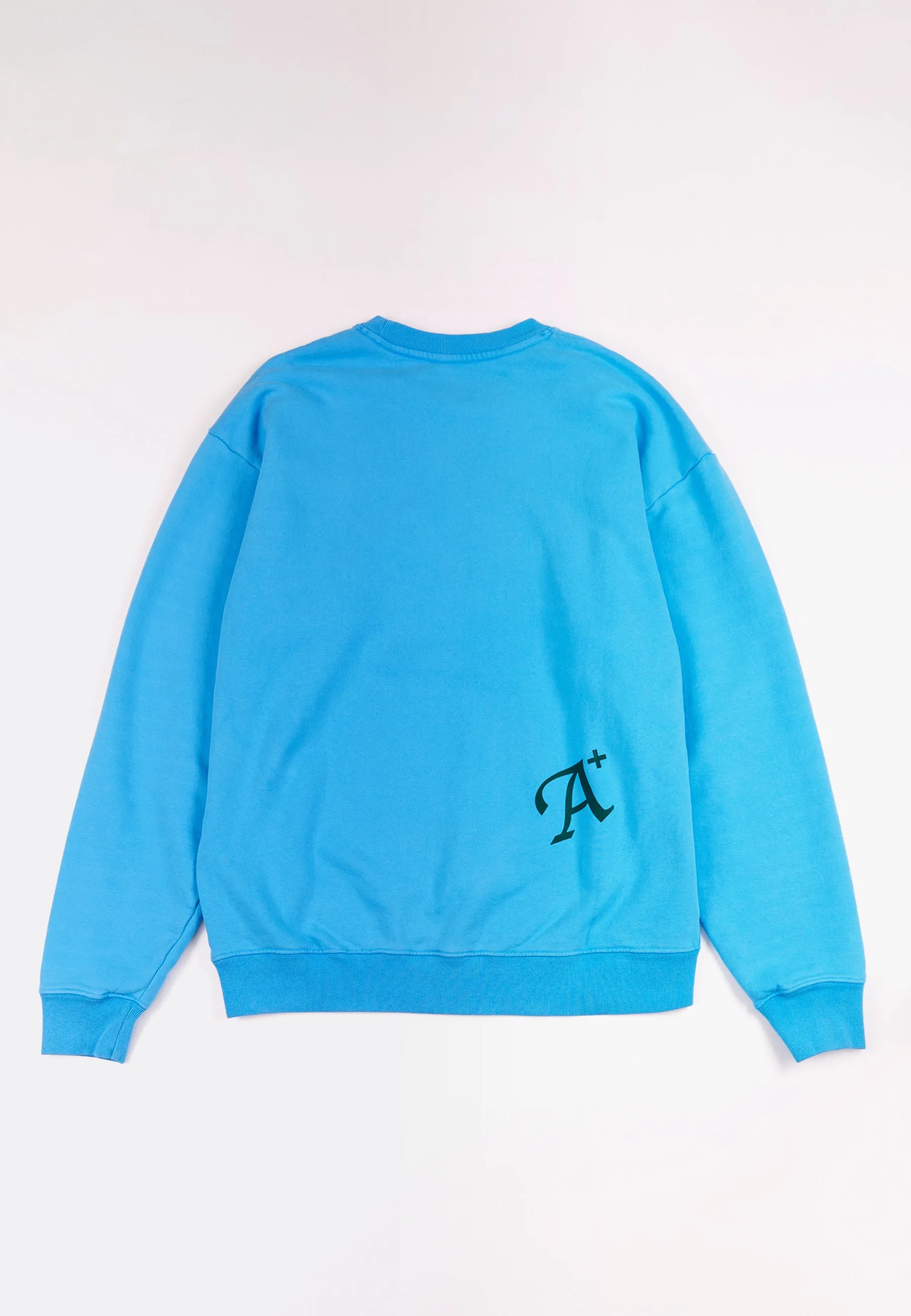 Daisy Crew Neck Sweater - carolina blue