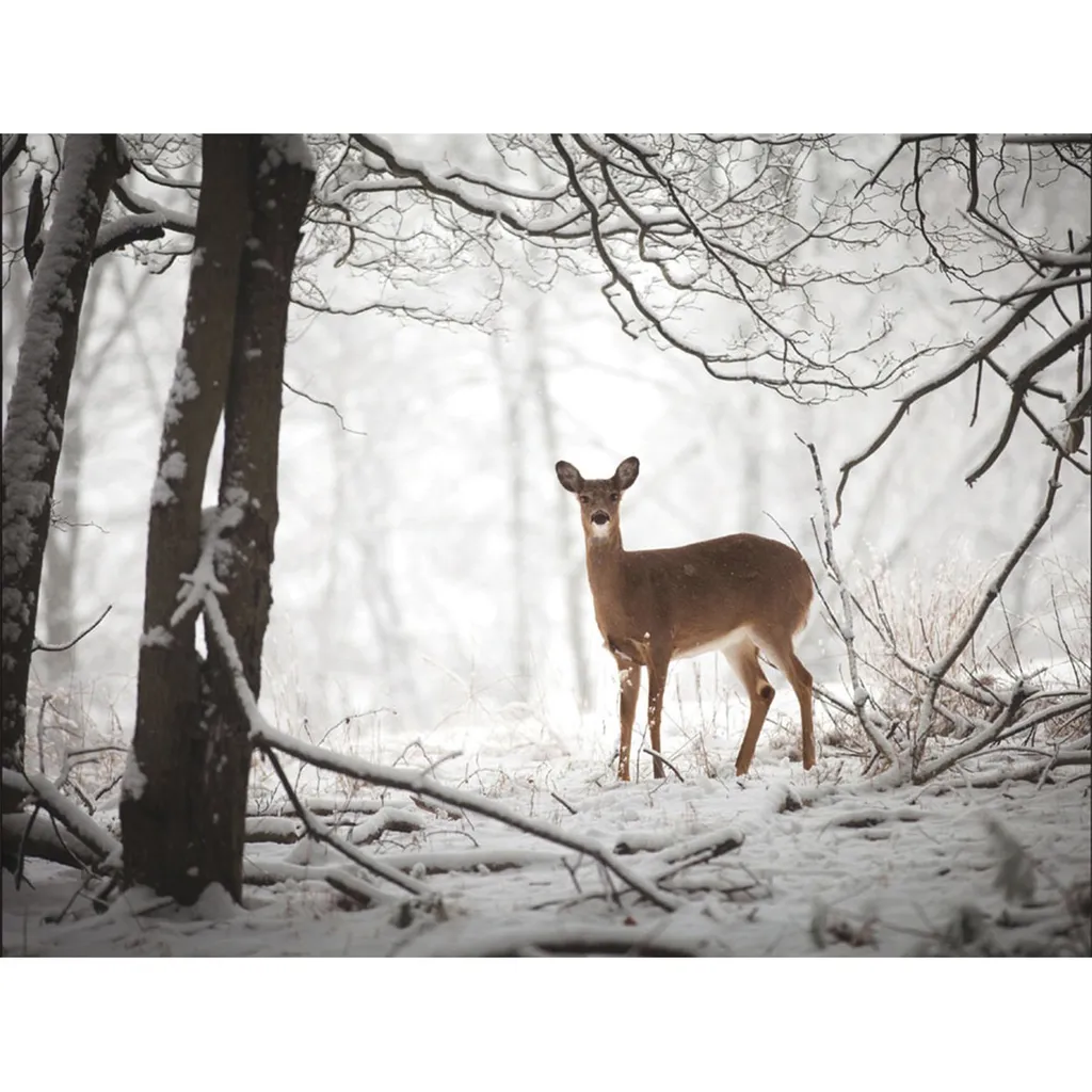 Holiday Cards - Doe in Forest Design - High Quality & Affordable