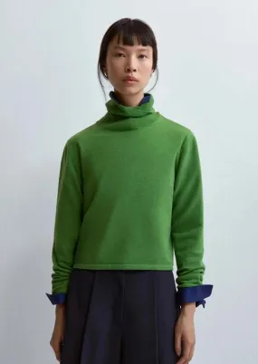 Merino Wool Turtleneck Sweater - Herba