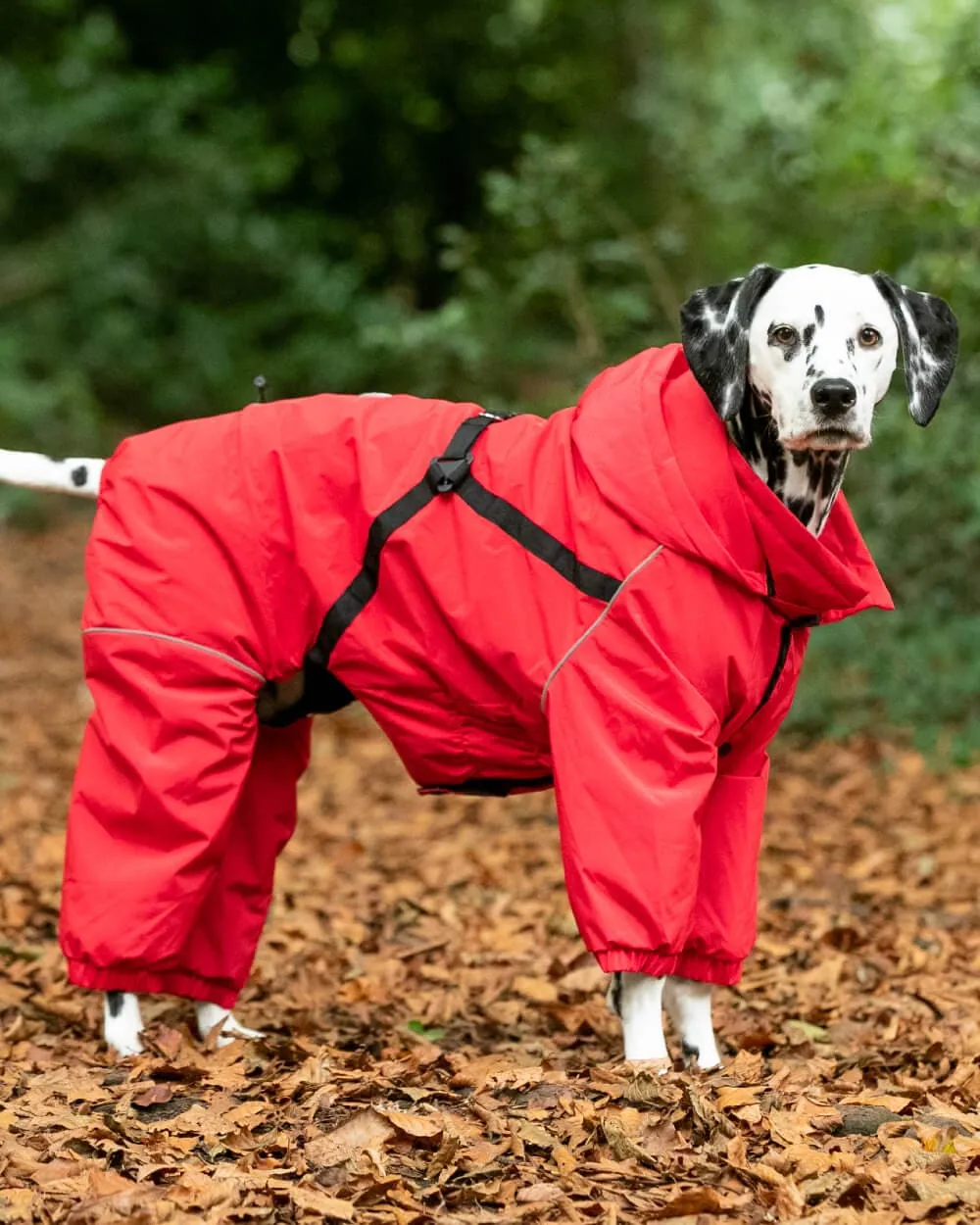 Winter Dog Snowsuit Red